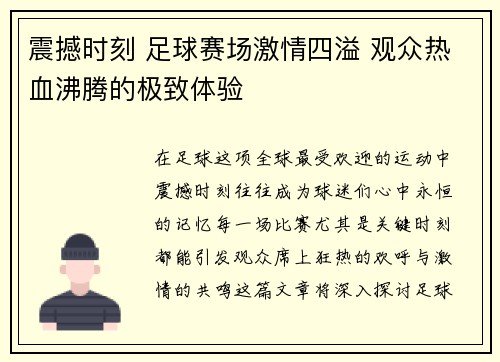 震撼时刻 足球赛场激情四溢 观众热血沸腾的极致体验