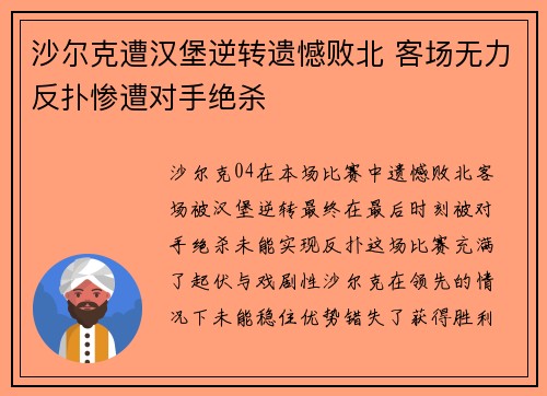 沙尔克遭汉堡逆转遗憾败北 客场无力反扑惨遭对手绝杀