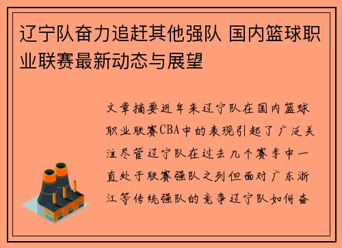 辽宁队奋力追赶其他强队 国内篮球职业联赛最新动态与展望