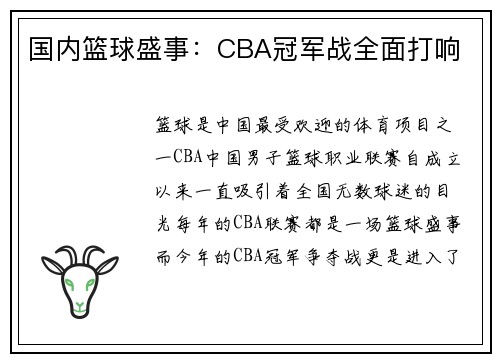 国内篮球盛事：CBA冠军战全面打响