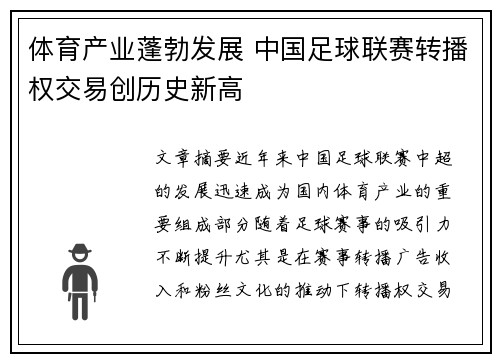 体育产业蓬勃发展 中国足球联赛转播权交易创历史新高