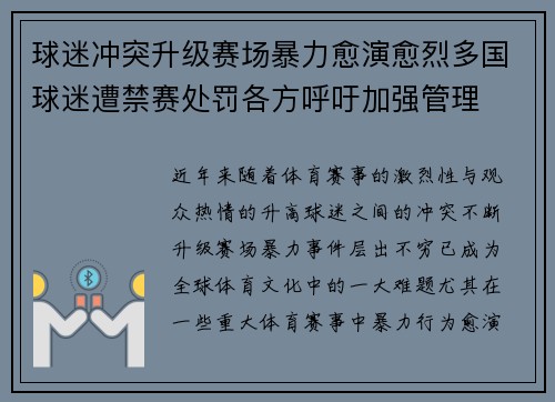 球迷冲突升级赛场暴力愈演愈烈多国球迷遭禁赛处罚各方呼吁加强管理